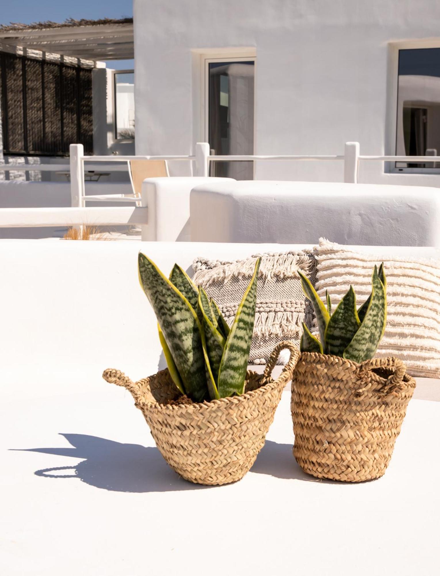 Rocabella Mykonos Hotel Агиос Стефанос Екстериор снимка